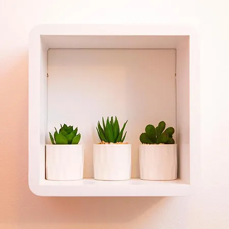 Apartamento Silver Tree *