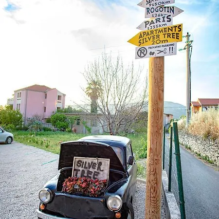 شقة Silver Tree سبليت