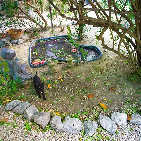 Silver Tree * スプリト