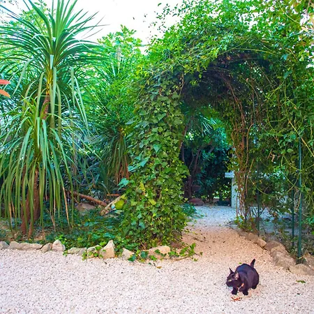 Silver Tree דירה