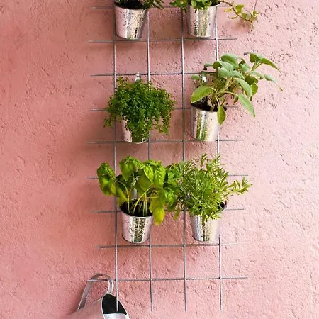 Silver Tree * سبليت