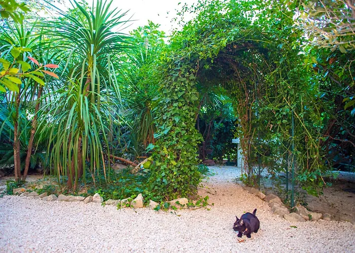 Silver Tree Appartement